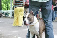DSC00181.webp
