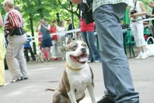 DSC00183.webp