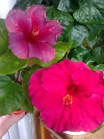 0765.webp