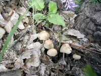 PIC_0056.webp