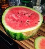 .webp