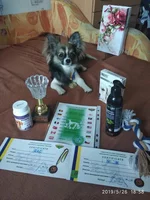  Бадди с выставки май 2019г.webp