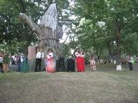 IMG_6621.webp
