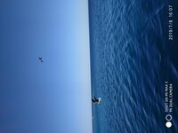 IMG_20190708_160708.jpg