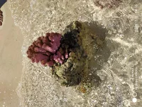 IMG_20190708_141612.webp