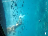 IMG_20190708_095131.webp