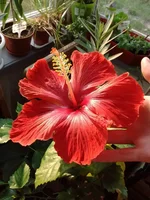 IMG_20190423_071930833.jpg