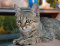 DSC09471_1.webp