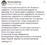  Добкина.webp
