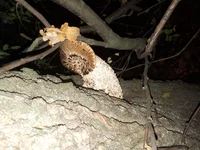 20190723_201312.webp