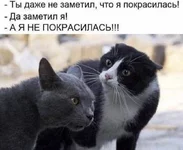imaged03f6a091f06ed8b376f67f47f8573d4-V.webp