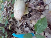 20190725_135113.webp