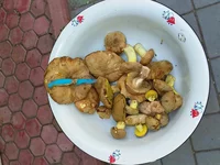 20190725_143558.webp