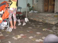 IMG_0864.webp