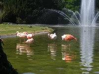 DSCF1045.webp