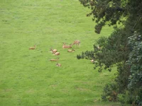DSCF4644.webp