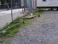DSCF6921.webp