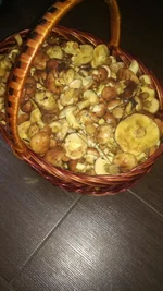 IMG_20190804_164607.webp
