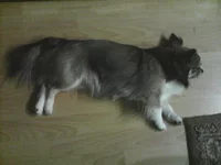  на полу 02_18.webp