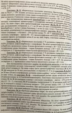 5.webp