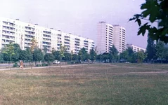 12.webp