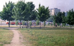 13.webp