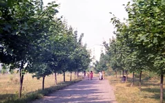 10.webp