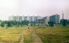 11.webp