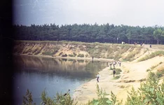 5.webp