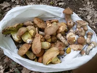 20190808_132056.webp