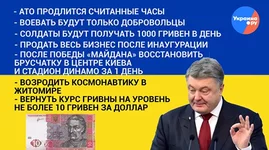 1020688396.webp