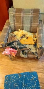IMG_20190621_200642.webp