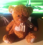image.webp