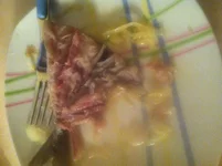 image.webp