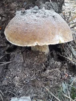 20190814_071403.webp