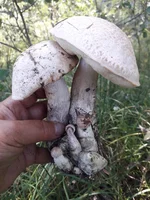 20190814_122912.jpg