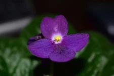 DSC_0014.webp