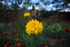 FOTO3646.webp