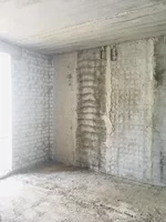 IMG_E0926.webp