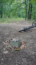 IMG-1b2feed705f645c60e97254a4d8fb84e-V.webp