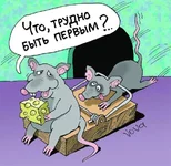 869.jpg