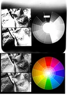480d1d42-96f5-41db-82e7-ec5e6a5accd1.webp