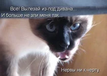 1248163546_kotomatrix50.webp