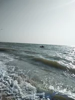 IMG_20190824_084701.webp