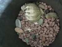 20190824_160321.webp