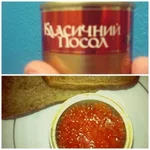 637828.webp