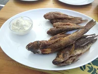 IMG_20190825_144847.webp