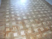 DSCF6231.webp