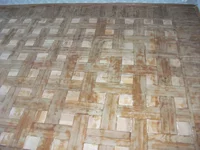 DSCF6229.webp