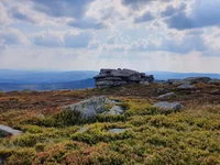 20190825_162628.webp